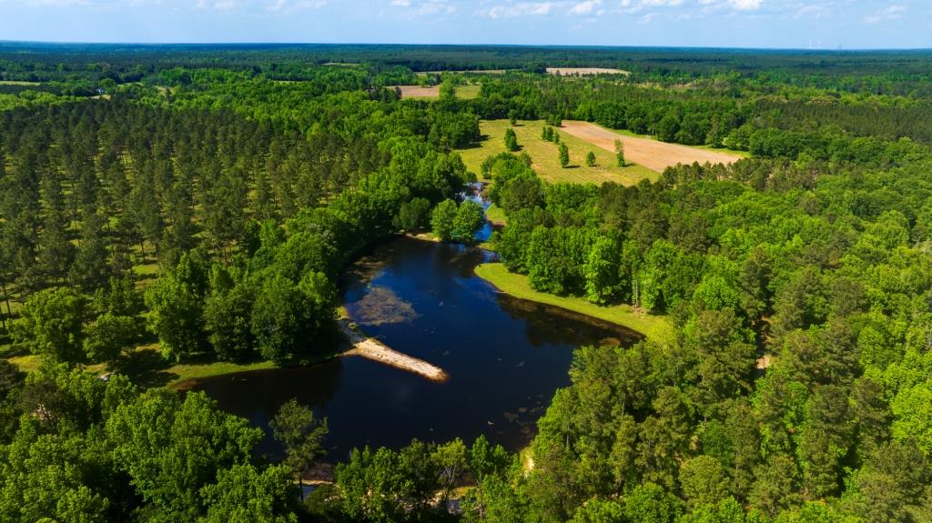 Persimmon Creek Photo