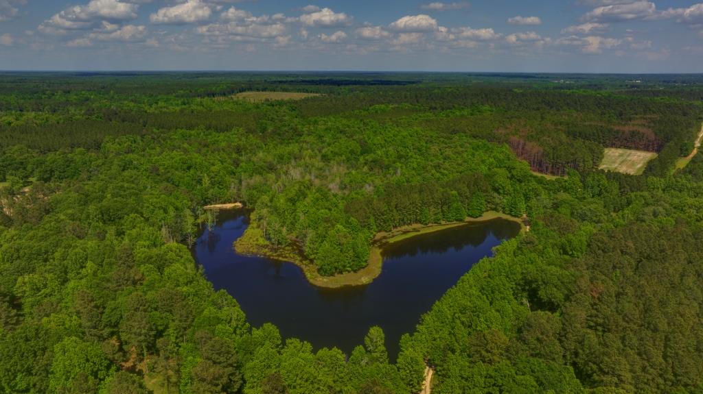 Persimmon Creek Photo