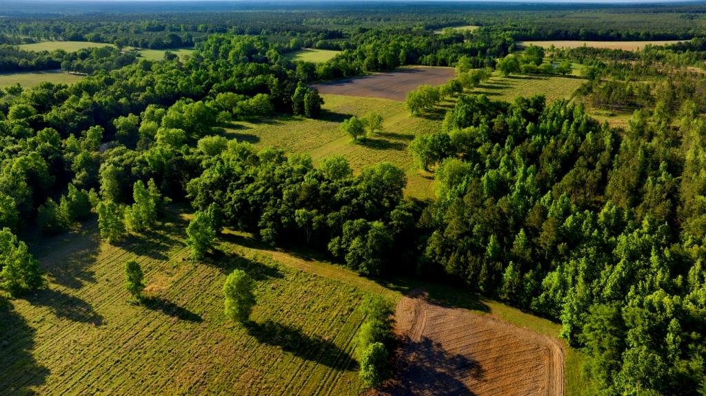 Persimmon Creek Photo