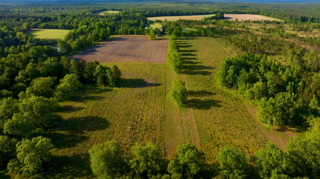 Persimmon Creek Photo