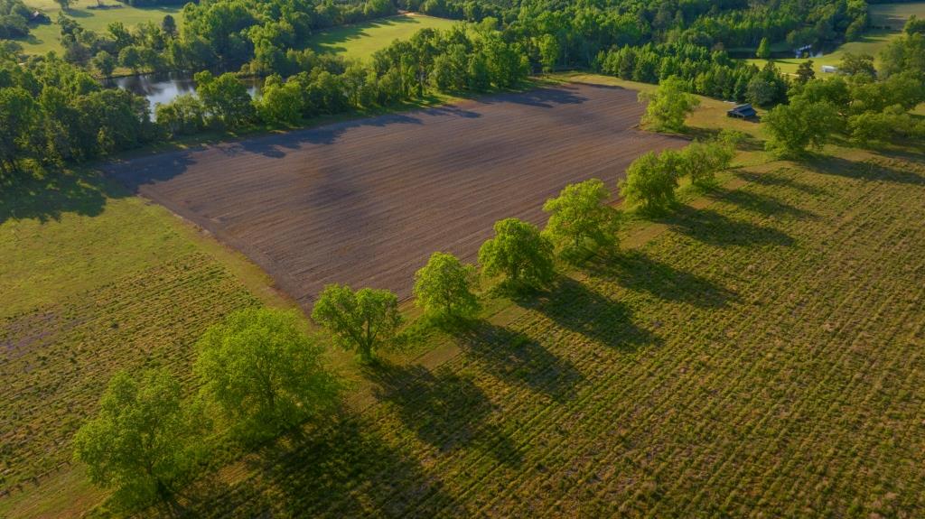 Persimmon Creek Photo