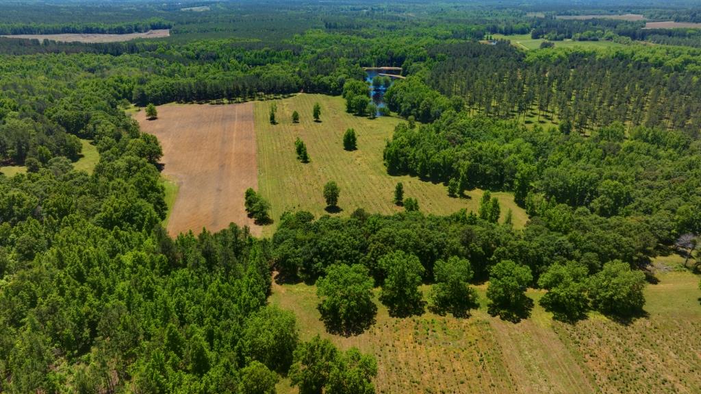 Persimmon Creek Photo
