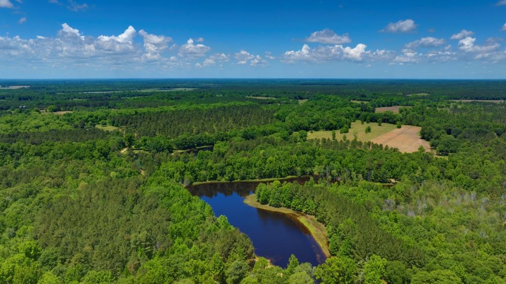 Persimmon Creek Photo