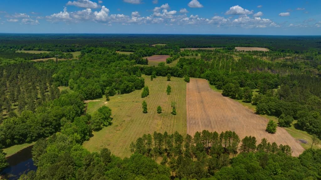 Persimmon Creek Photo