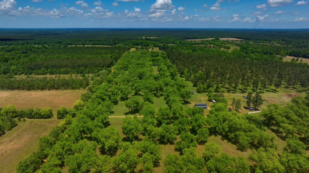 Persimmon Creek Photo