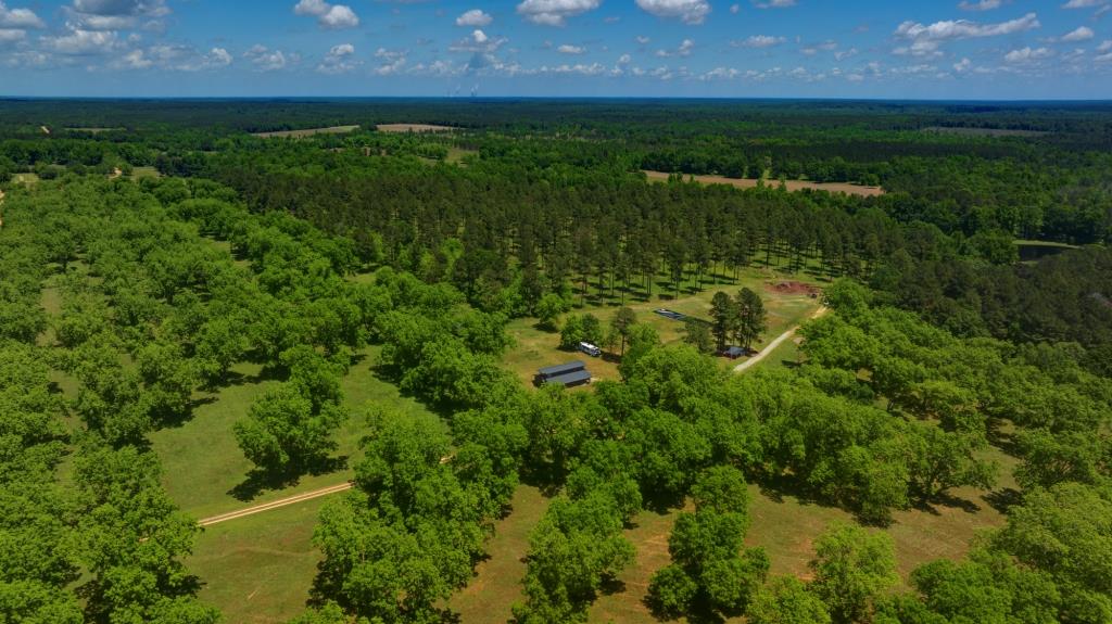 Persimmon Creek Photo
