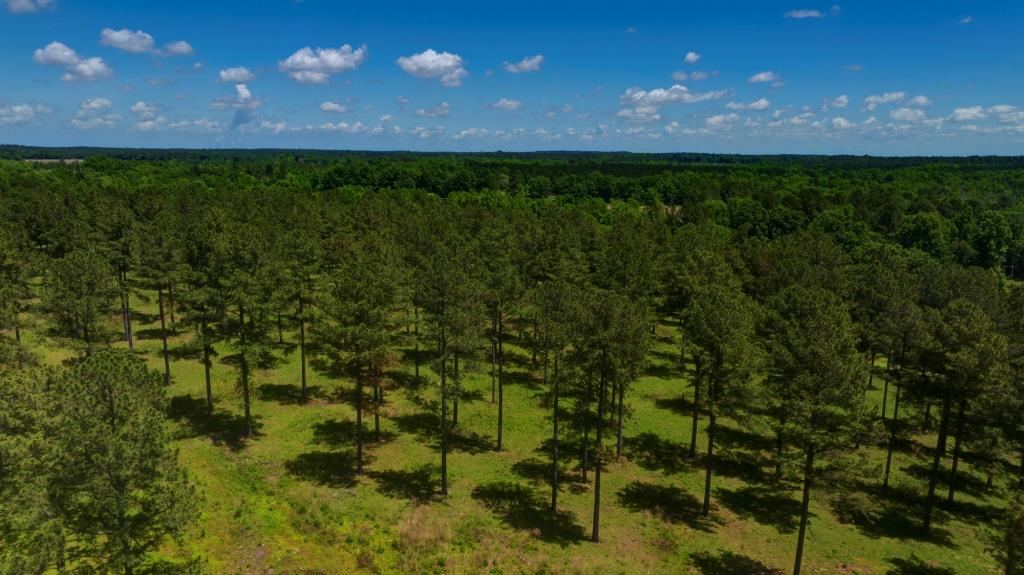 Persimmon Creek Photo