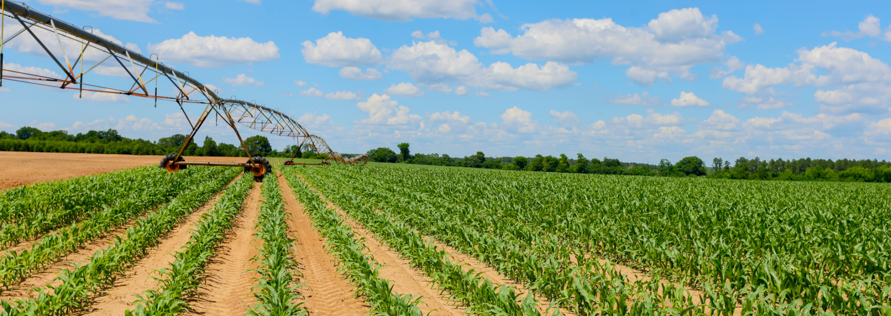 Three Bale Farm Main Photo