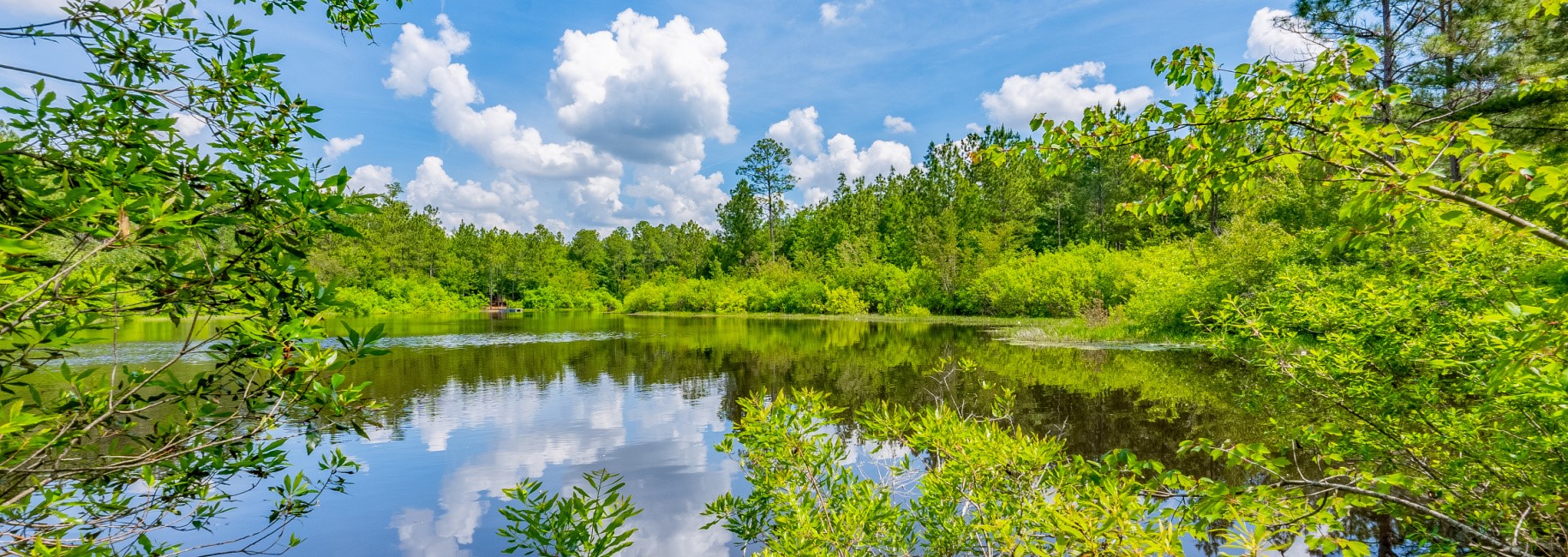 Worth County Pond Property Main Photo