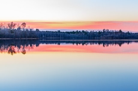 Fortner Mill Pond