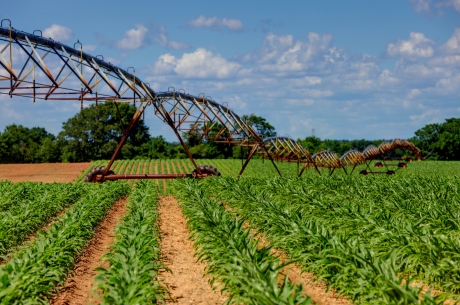 Three Bale Farm