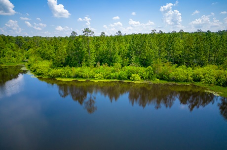 Worth County Pond Property