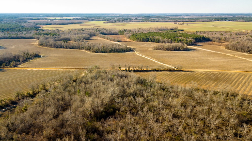 Vidette Farm East Photo