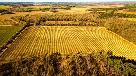 Vidette Farm East Photo