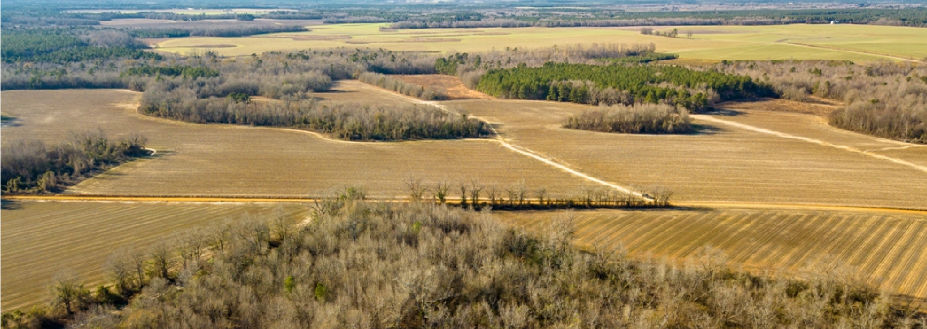 Vidette Farm East Main Photo