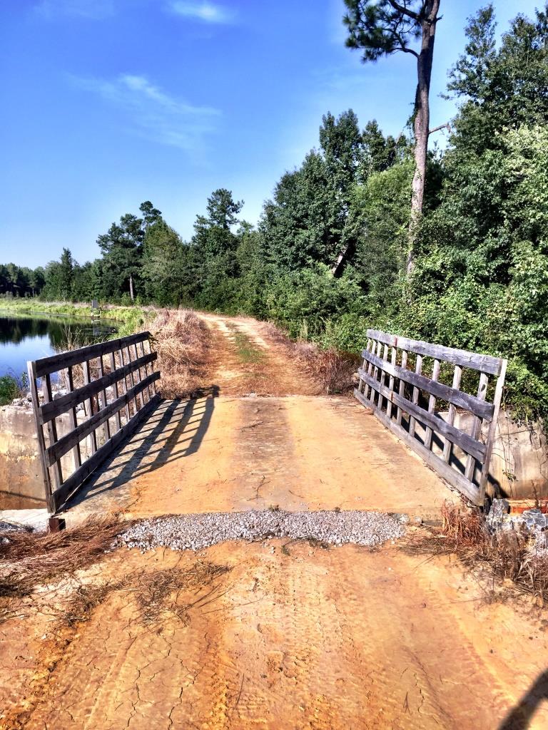 Fortner Mill Pond Photo