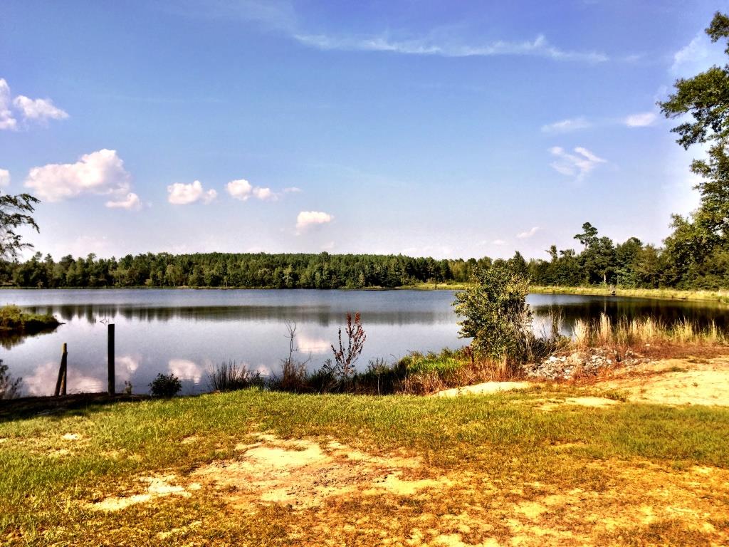 Fortner Mill Pond Photo