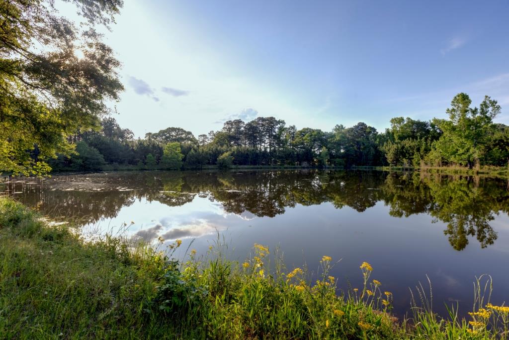 Heart Pond Farm Photo