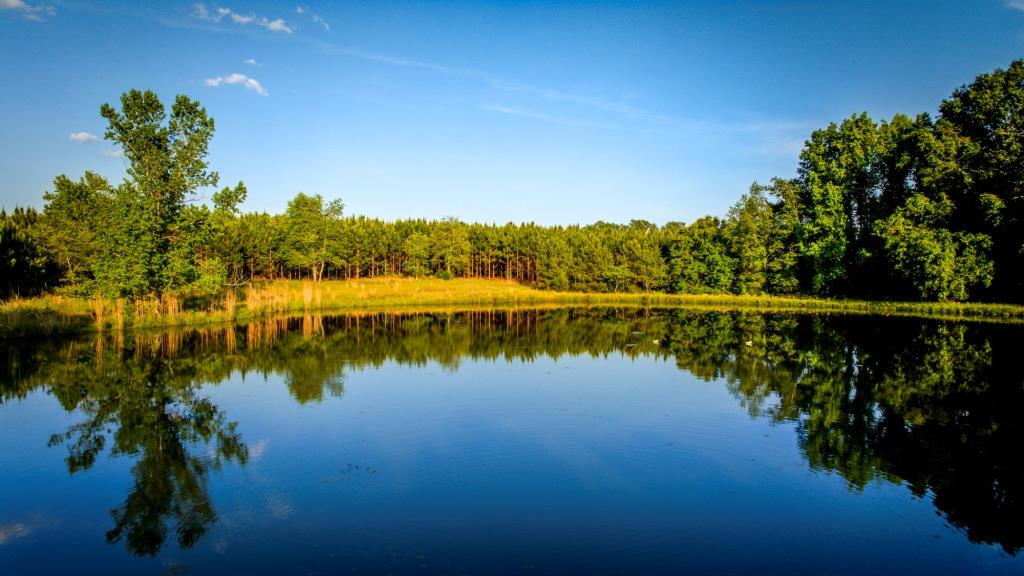 Heart Pond Farm Photo