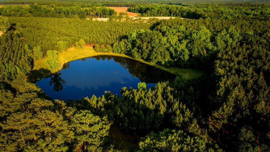 Heart Pond Farm Photo