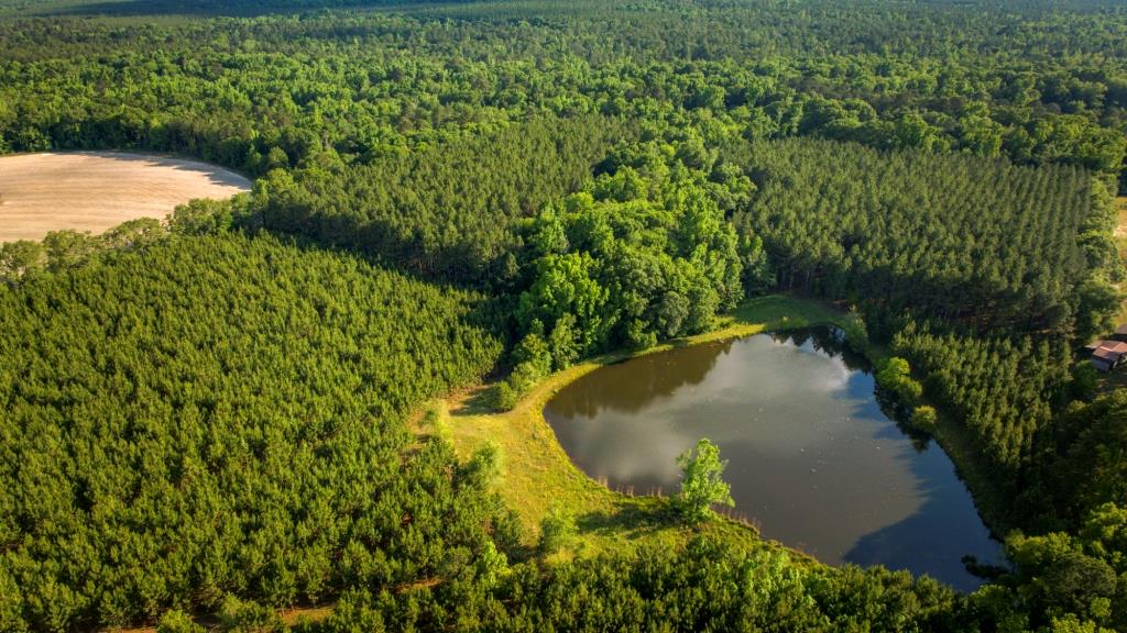 Heart Pond Farm Photo