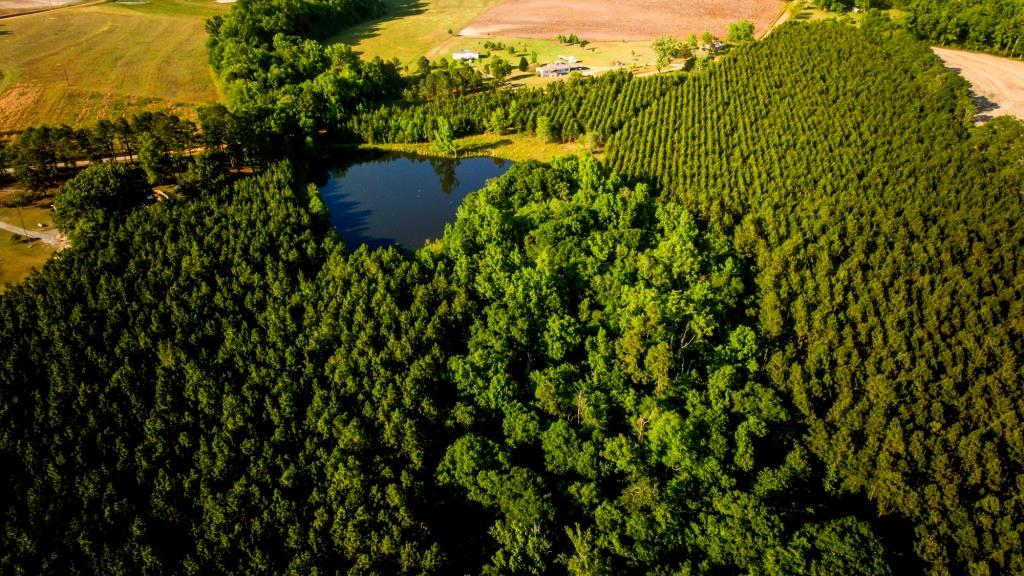 Heart Pond Farm Photo