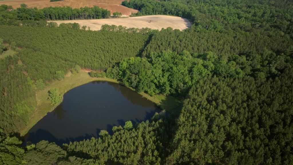 Heart Pond Farm Photo