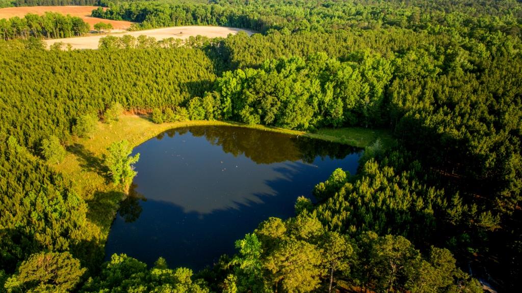 Heart Pond Farm Photo