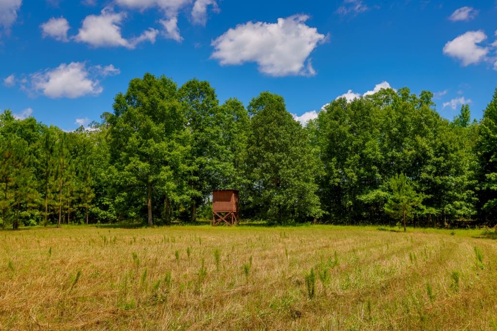 Riddle Road Retreat Photo