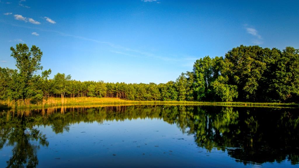 Heart Pond Farm Photo