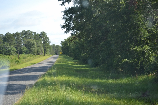 Turkey Creek Photo