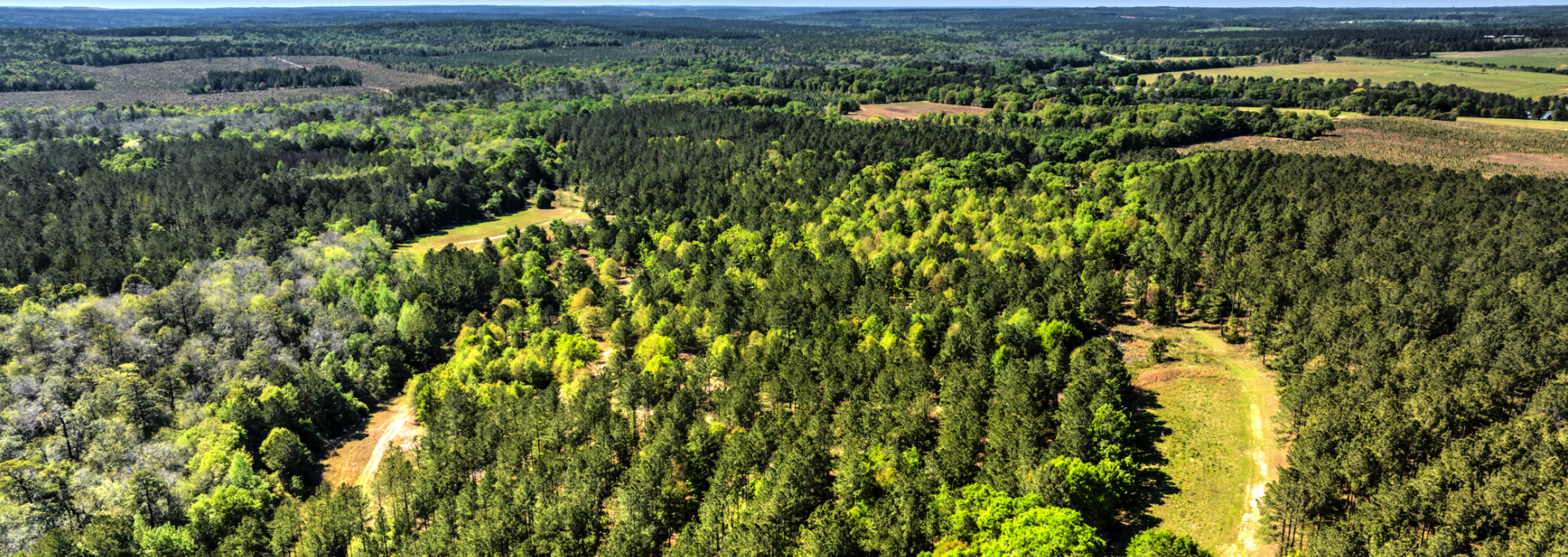 Whitewater Creek Plantation Main Photo