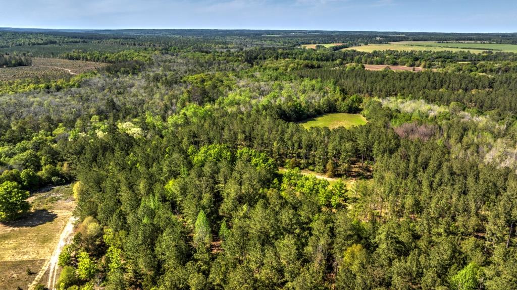 Whitewater Creek Plantation Photo