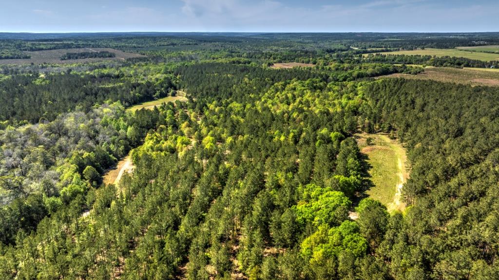 Whitewater Creek Plantation Photo