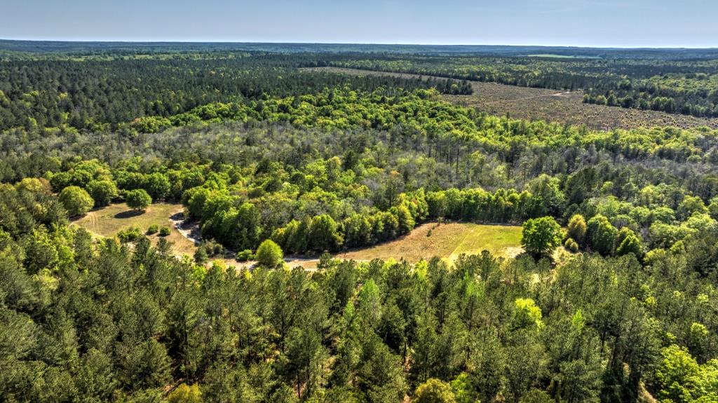 Whitewater Creek Plantation Photo