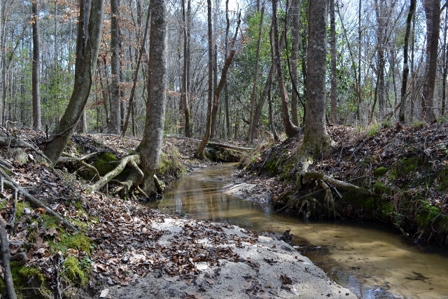 Little Rocky Creek