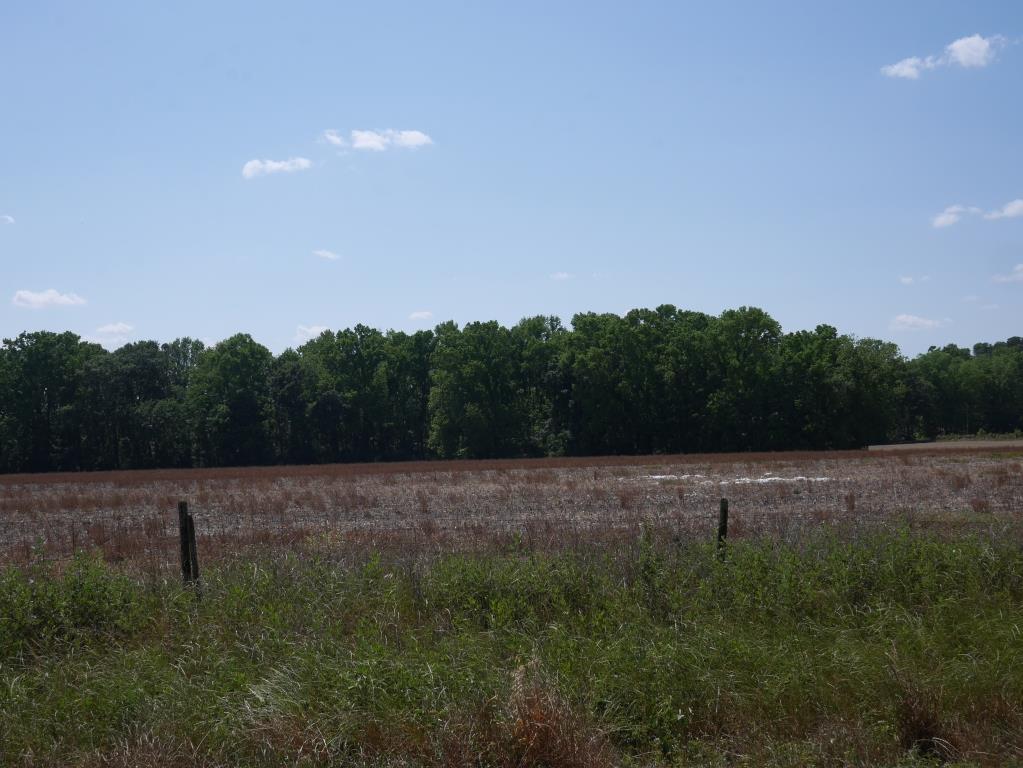 Banks Dairy Farmland Photo