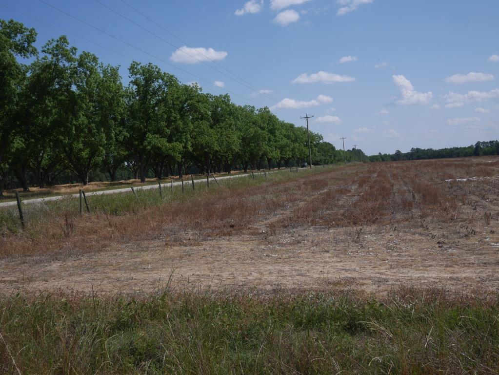 Banks Dairy Farmland Photo