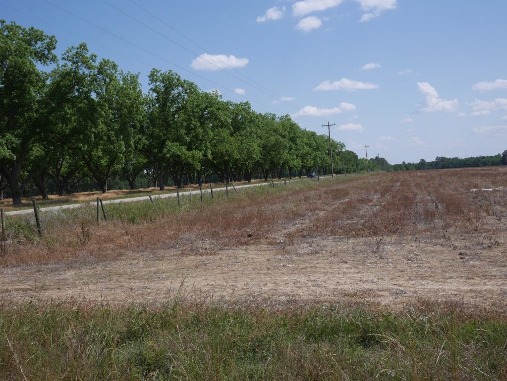 Banks Dairy Farmland Photo