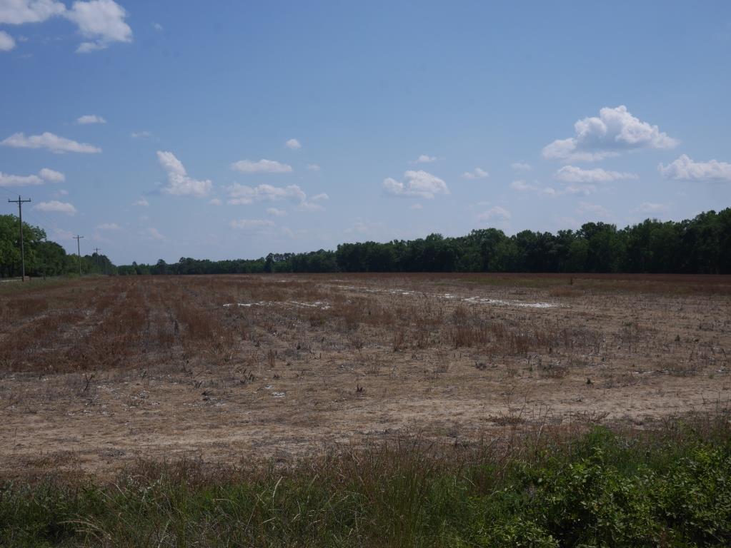 Banks Dairy Farmland Main Photo