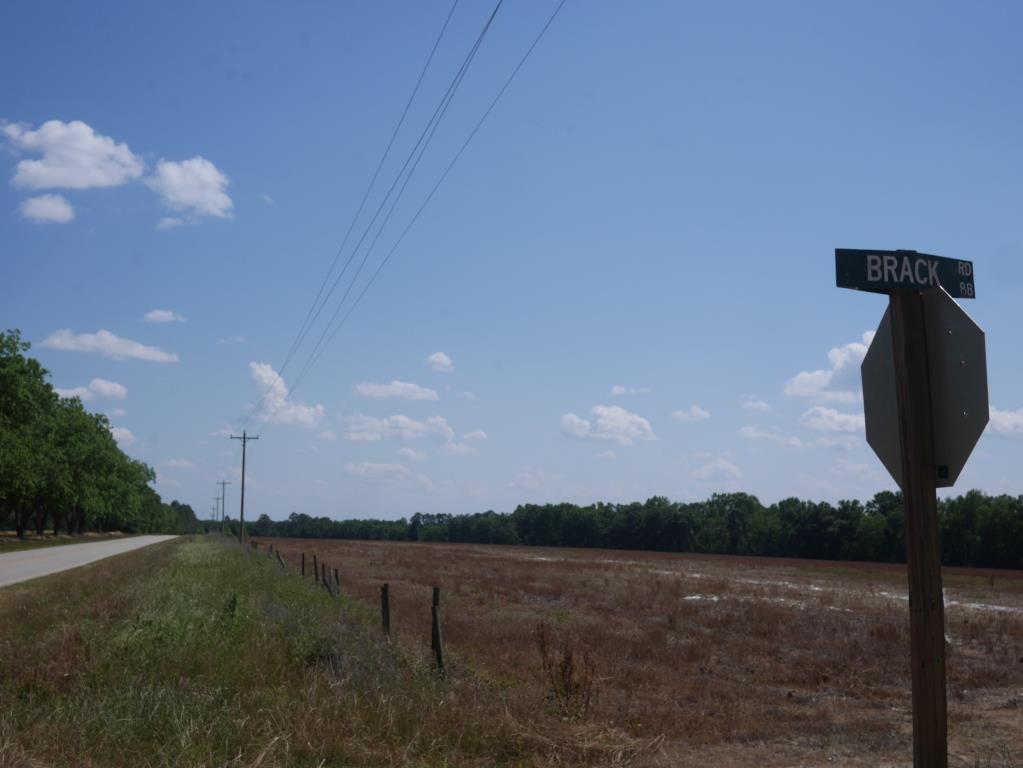 Banks Dairy Farmland Photo