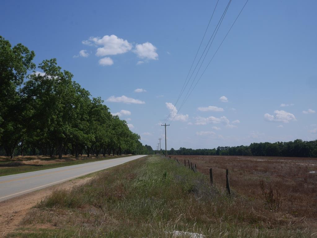 Banks Dairy Farmland Photo