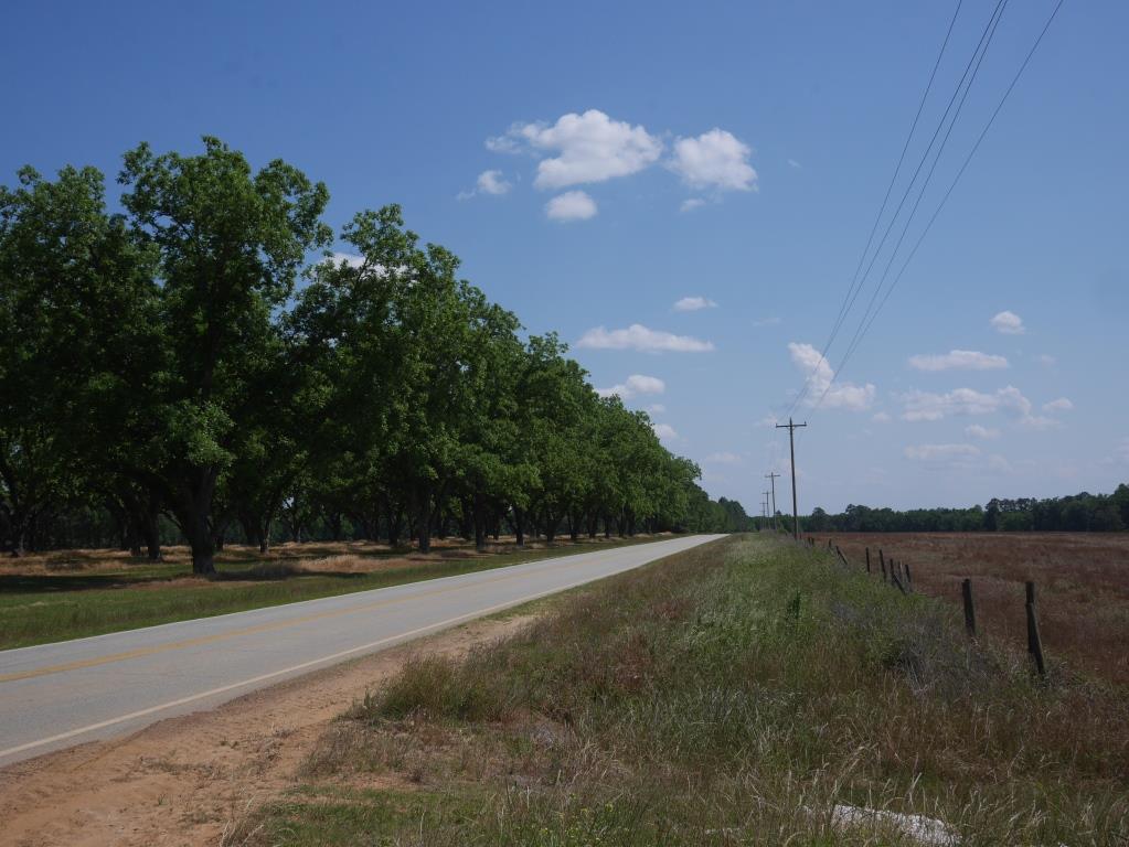 Banks Dairy Farmland Photo