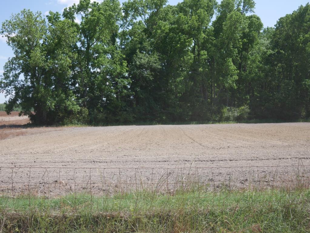 Banks Dairy Farmland Photo