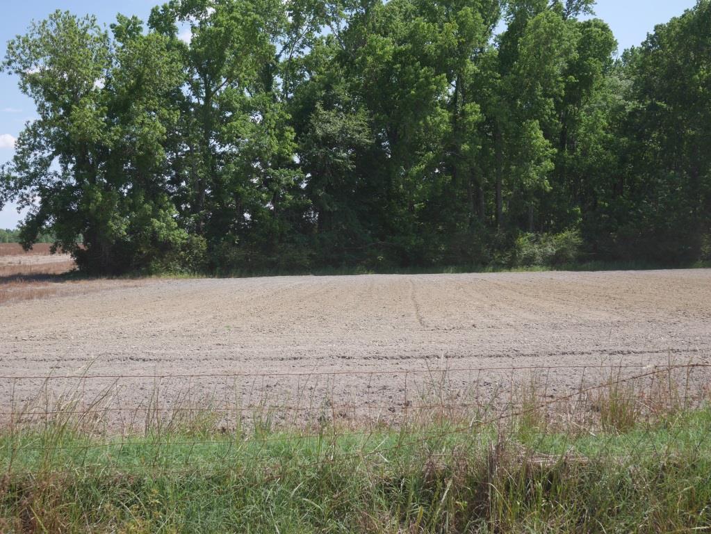 Banks Dairy Farmland Photo