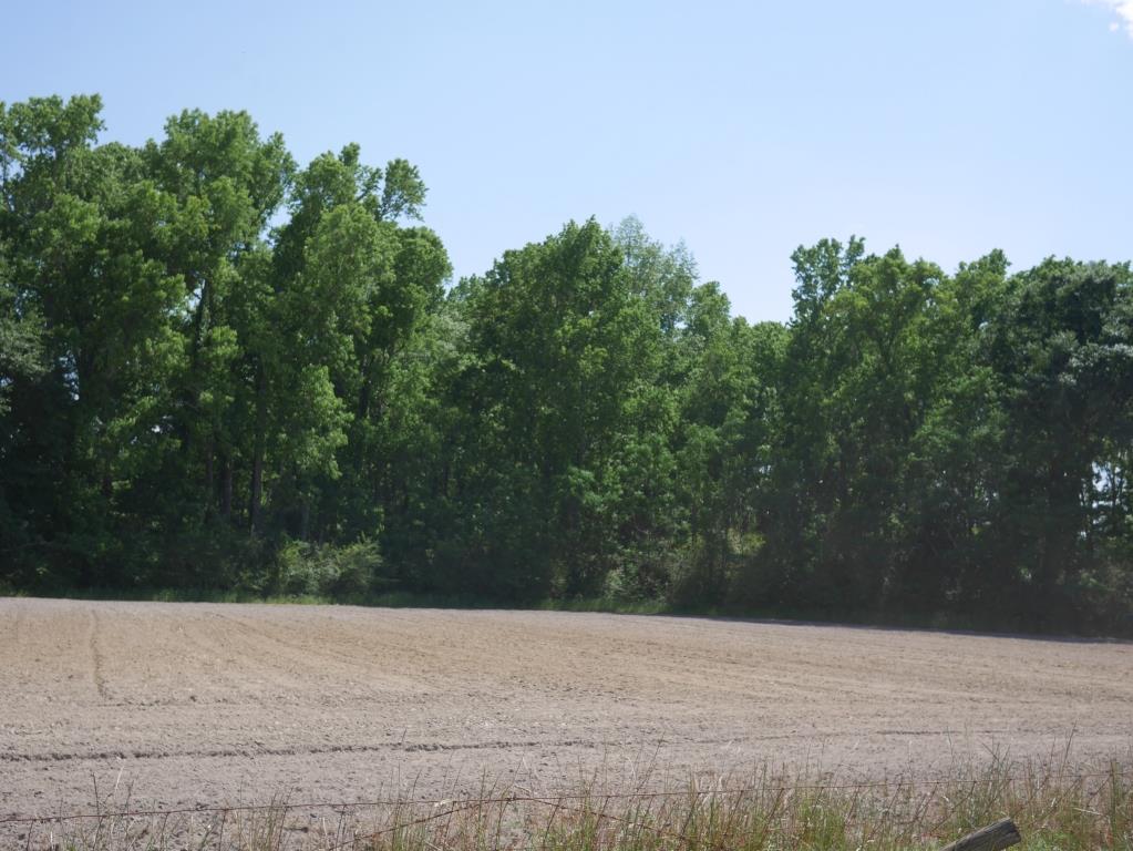 Banks Dairy Farmland Photo