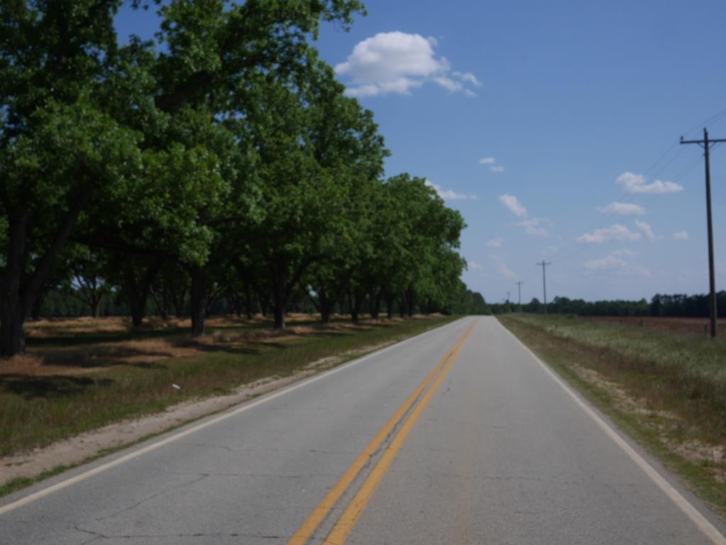 Banks Dairy Farmland Photo