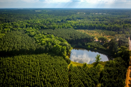 Heart Pond Farm