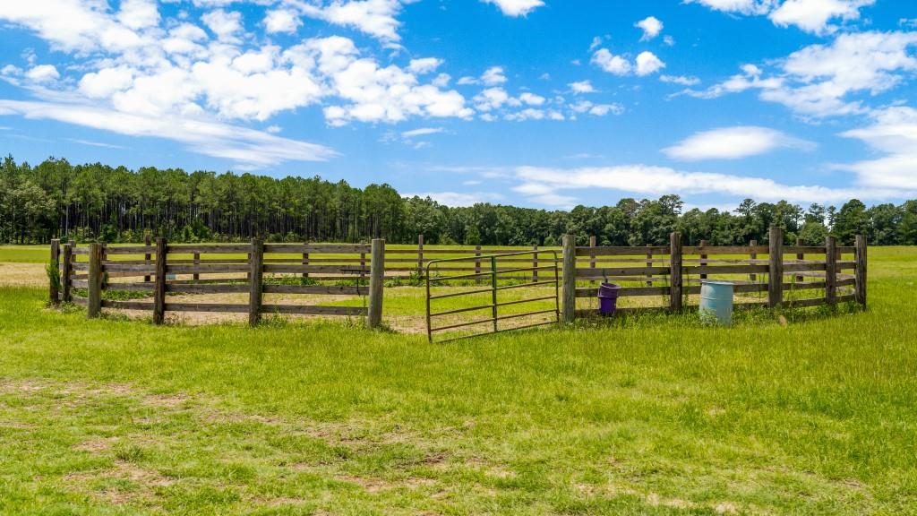 Hwy 96 Mini Farm Photo