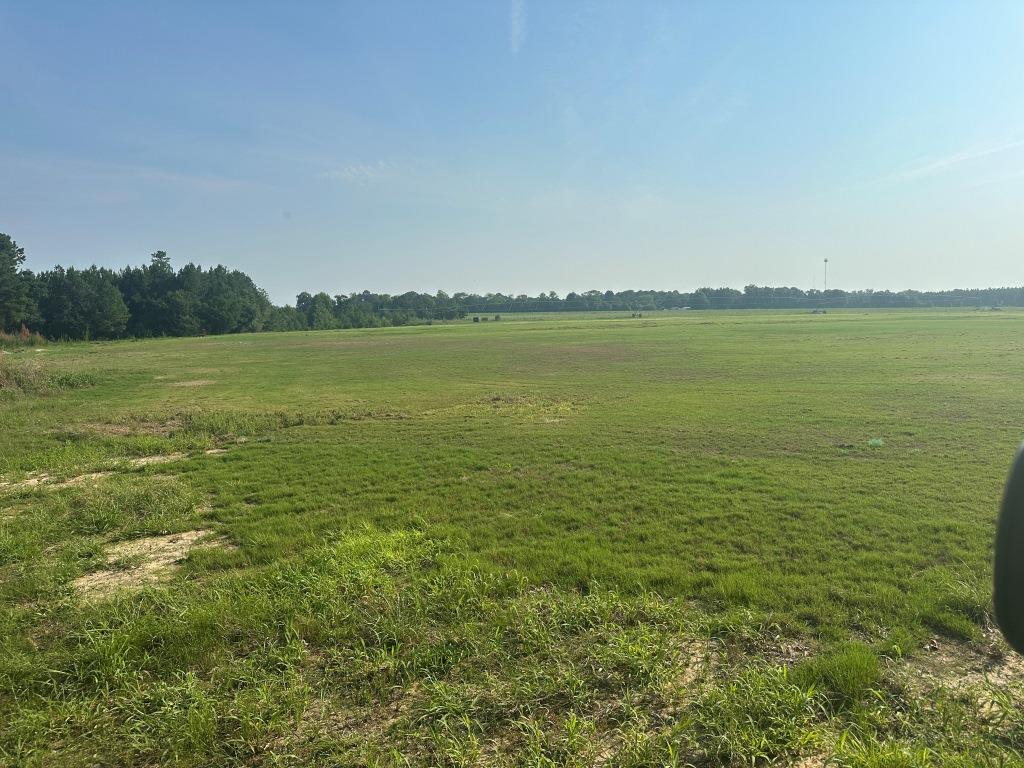 Hwy 301 Sod Farm Photo